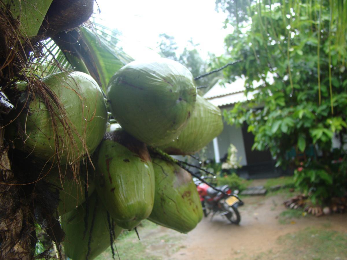 Asiri Homestay 锡吉里亚 外观 照片